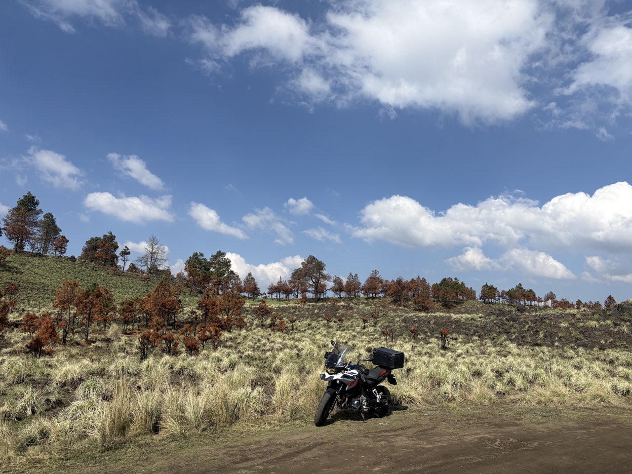Viaje Nuevo